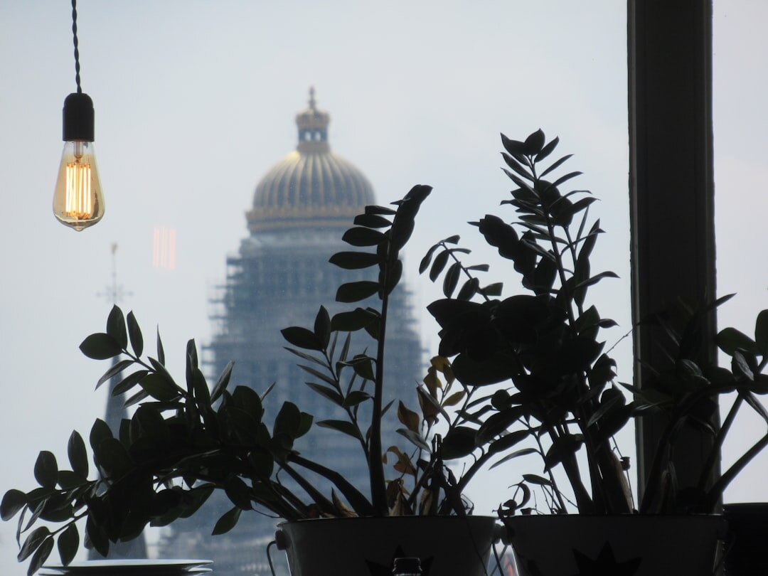 Modern office workspace in Brussels with plants and collaborative desks